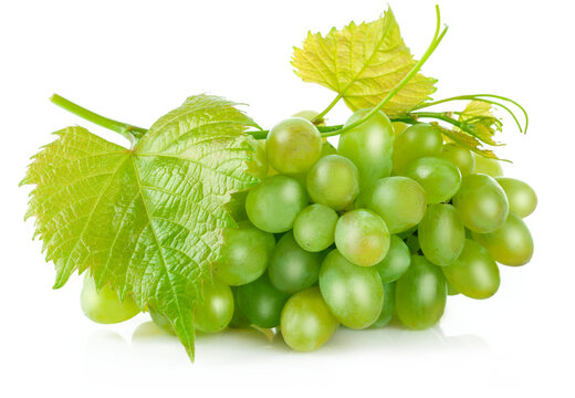 Fresh green grapes with leaf harvest fruit healthy food, isolated on white background