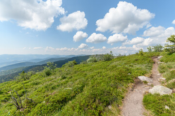 Landscape of the high Vosges mountains near the ridge road in spring.