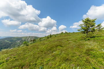 Landscape of the high Vosges mountains near the ridge road in spring.