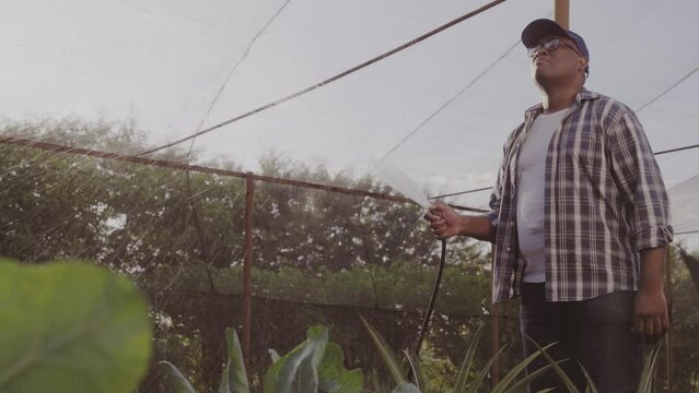 pequeno agricultor Brasileiro usando uma mangueira para molhar as plantas na estufa em uma fazenda no Brasil