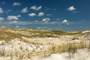 sand dunes at Anastasia island in Florida