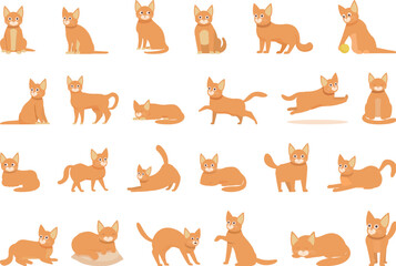 Fototapeta premium Abyssinian cat icons set cartoon vector. Animal pet. Nature face