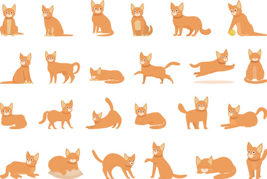 Abyssinian cat icons set cartoon vector. Animal pet. Nature face