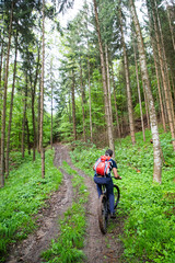 Obraz premium man on a mountain bike in the forest