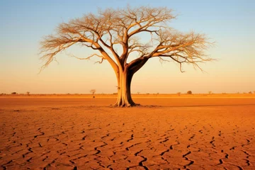 Fotobehang Diep Oranje A hyperrealistic capture of a barren landscape affected by desertification, symbolizing the expansion of arid areas due to global warming and climate change, in hyperrealistic 8k detail  © Matthias