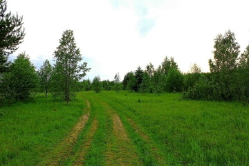 path in the field