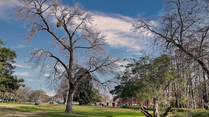 The Prado Oriental, the first public park in the city, Montevideo,Uruguay	