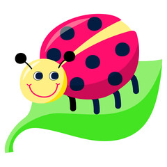 Cute ladybug sitting on green leaf on white background. Cartoon colored vector illustration for children's book, decoration, print.
