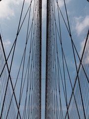 The parallel suspension wires that hold the Brooklyn Bridge. Manhattan NYC