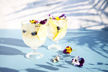 Cold lemonade with citrus and edible flowers. Cool healthy summer drinks and cocktails. Detox water