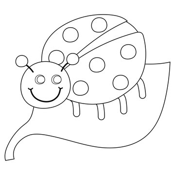 Cute ladybug sitting on leaf. Black and white. Cartoon vector illustration for coloring book.