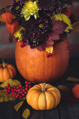 Autumn bouquet of bright flowers in a pumpkin handmade vase. Cozy home atmosphere, fall decor. Dark wooden background