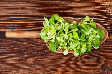 Fresh green field salad on wooden spoon on old wooden vintage background. Fresh salad, rustic vintage country style image.