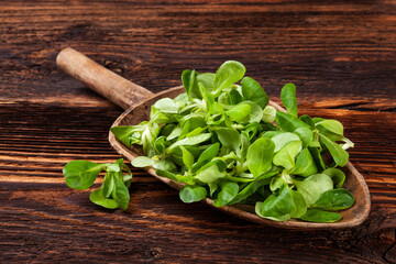 Fresh green field salad on old wooden spoon on rustic vintage wooden background. Fresh salad,...