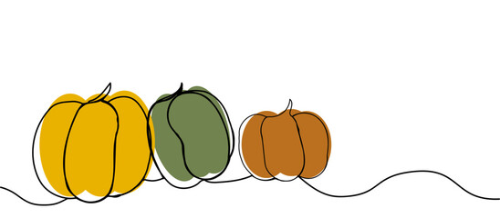 Ripe pumpkins of different colors in line art style, banner with copy space on white background, concept of happy halloween, autumn harvest, halloween. Design of advertisements, flyers, invitations - obrazy, fototapety, plakaty