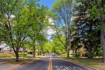 Green trees on the road in a small town on a sunny summer day, State College, Pennsylvania.