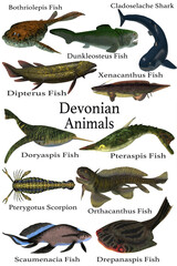A collection of various aquatic animals that lived during the Devonian Period of Earth's history.