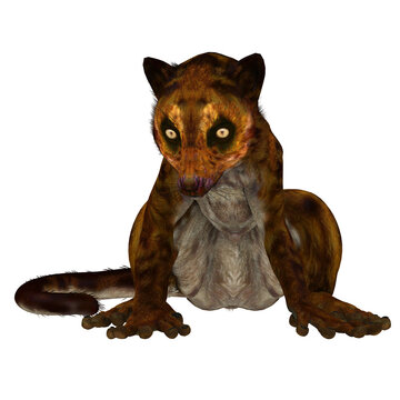 Darwinius is lemur-like early primate that lived in the Eocene Period in Germany.