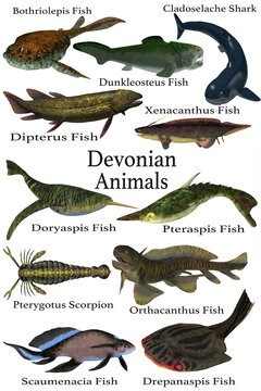 A collection of various aquatic animals that lived during the Devonian Period of Earth's history.