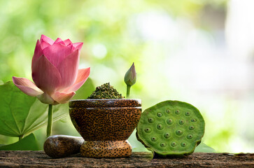 Lotus flower ,seeds and pod on nature background.