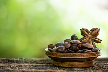 Plukenetia volubilis or Sacha inchi fruit and seeds on nature background.