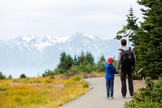 back view of family of two, father and son, enjoying mountain view in olympic national park, washington state, usa, active lifestyle concept