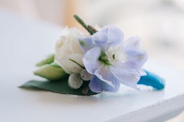 Fototapeta na wymiar Tender rose and blue flower put in a boutonniere, closeup