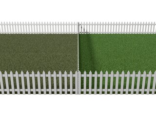 3d illustration of conceptual versus. neighbor's lawn versus yours. isolated on white.