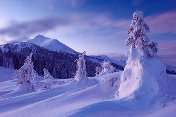 Carpathian mountains in winter, sunrise and sunset, trees covered with white snow, dramatic sky