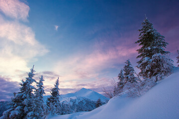 Carpathian mountains in winter, sunrise and sunset, trees covered with white snow, dramatic sky