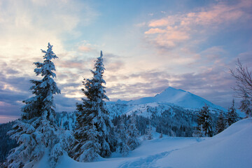 Carpathian mountains in winter, sunrise and sunset, trees covered with white snow, dramatic sky