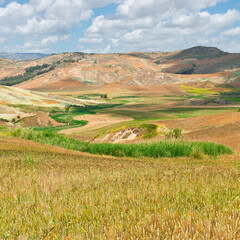 Fototapeta na wymiar Wheat Field on the Hills in Sicily