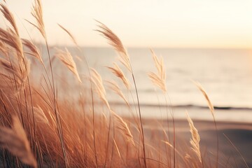 Serene Seaside with Dry Grass. Warm Sun Tones, Soft Shadows, and Calm, Serene Atmosphere