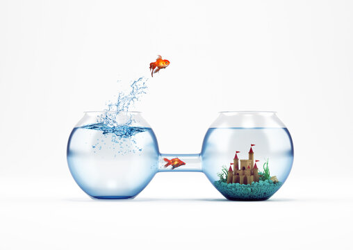 Goldfish leaping in an aquarium with a castle instead another fish pass from the tube. way to improvement and progress concept. 3D Rendering