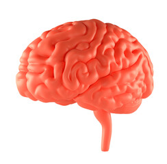 Anger Red Brain. Isolated on white. 3D Illustration