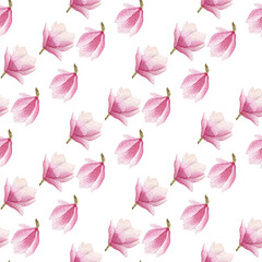 watercolor blooming magnolia seamless pattern isolated on white background