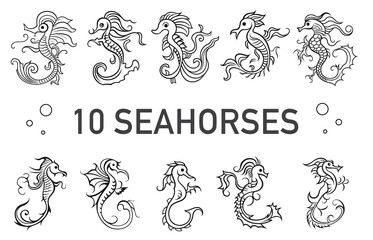 10 Seahorse vector art set
