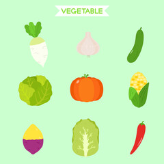 vegetable illustration