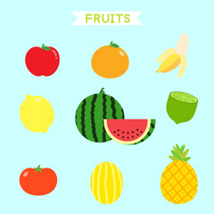 fruits illustration