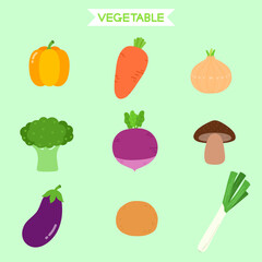  vegetable illustration