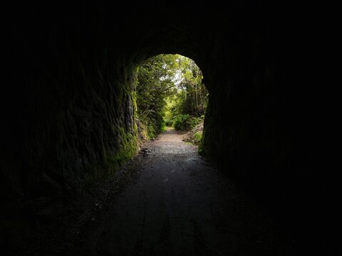 Moss covered tunnel opening of Chasm Creek Trail Track on abandoned railway line in Mokihinui West Coast New Zealand
