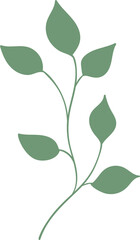 plant leaves 219