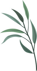 Fototapeta premium plant leaves 212