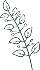 plant leaves 203
