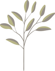 plant leaves 185