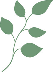 plant leaves 129