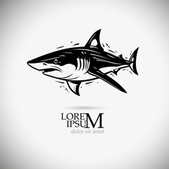 monochrome black shark object. Vector illustration