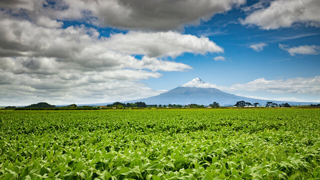 An image of Mount Taranaki in New Zealand