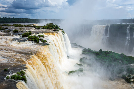 iguazu falls national park. tropical waterfalls and rainforest landscape