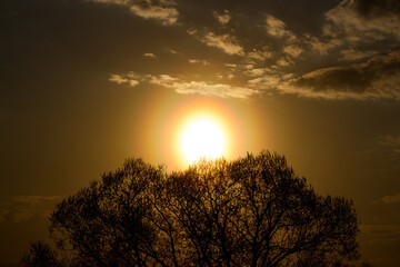 Bright sun with halos around during sunset against the background of trees